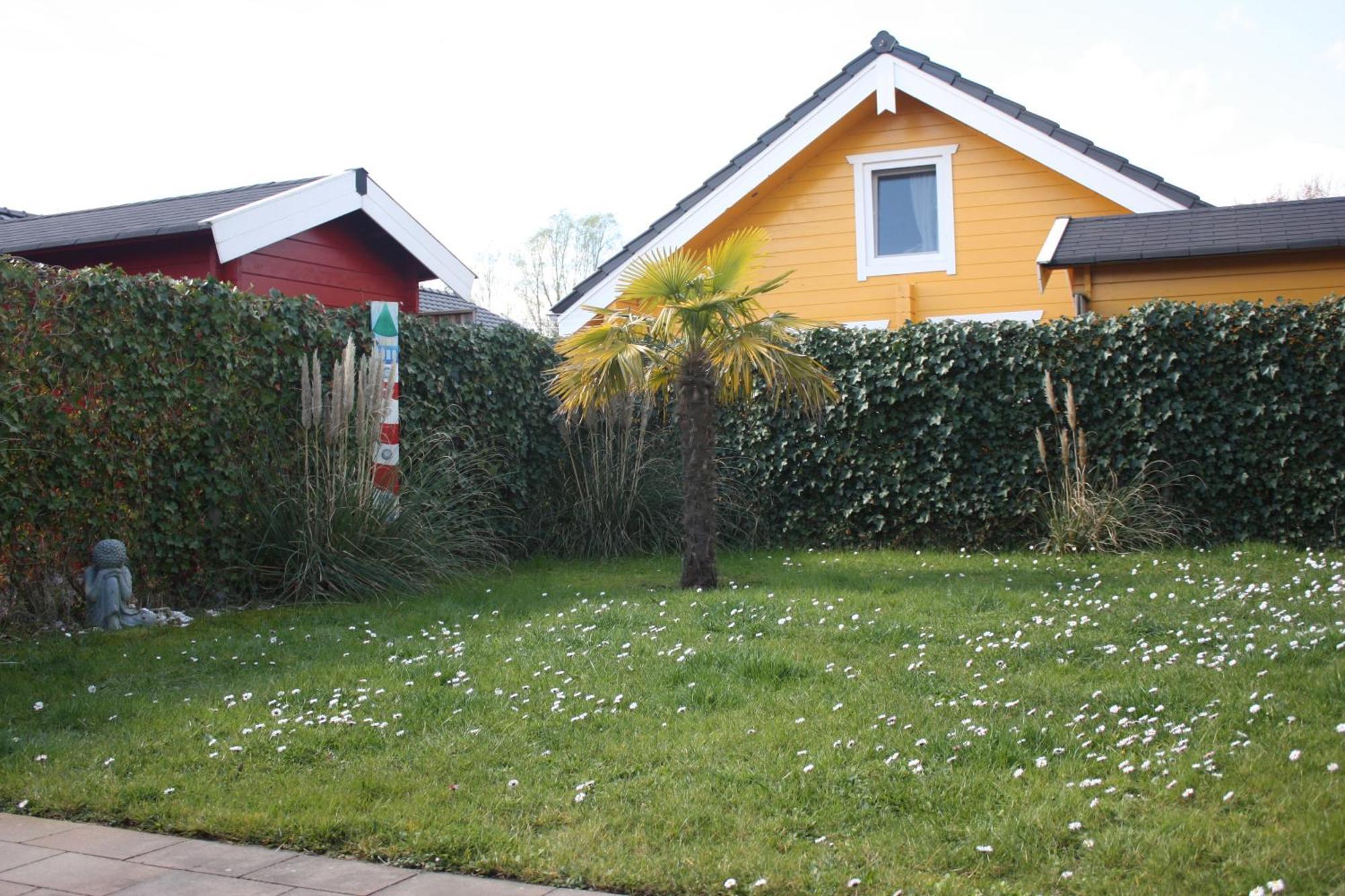 Villa Emilia - Gemuetliches Kinderfreundliches Blockhaus Mit Umzaeuntem Garten Sint Annaland Exterior foto
